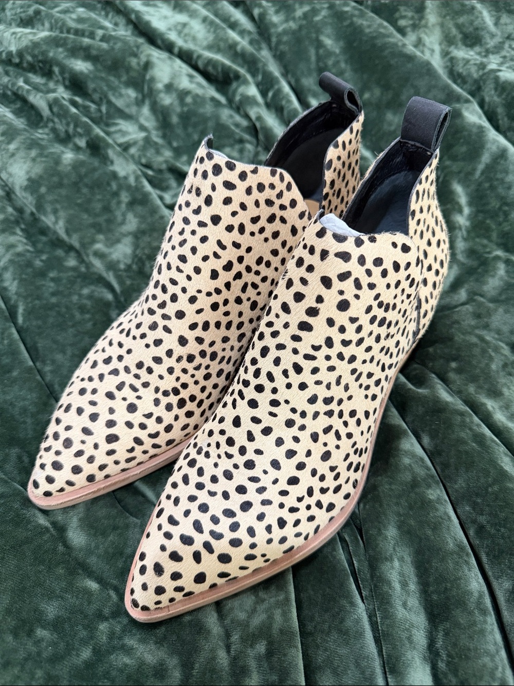 Dolce Vita Leopard Spot Pointed Ankle Booties - Black & Cream